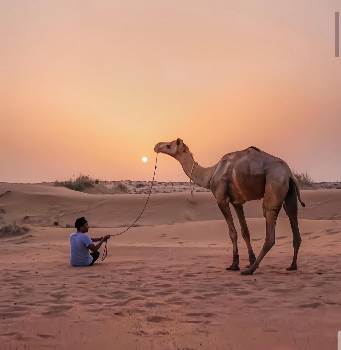 The Saffron Desert Camp Jaisalmer Buitenkant foto